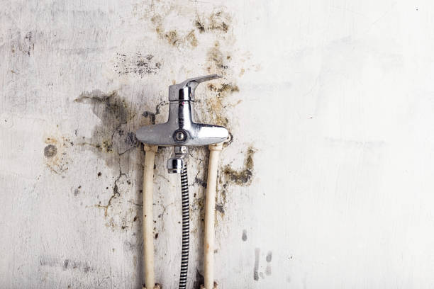 Aetna Estates, CO Mold Removal Company