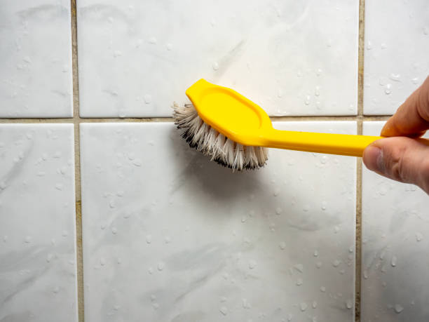 Best Office Mold Removal Services  in Aetna Estates, CO