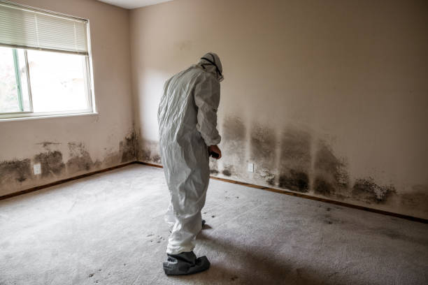 Best Crawl Space Mold Removal  in Aetna Estates, CO