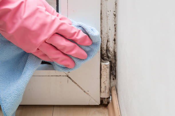 Water Damage Restoration in Aetna Estates, CO
